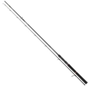 Daiwa TN SW AGS 2.40m 28-84g