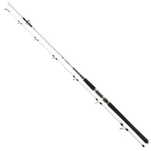 Daiwa Grandwave Pilk 2.70m 100-200g