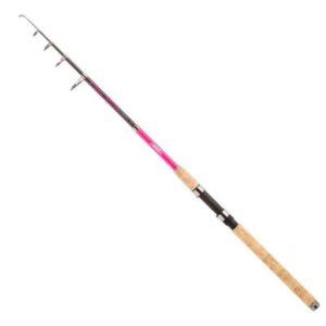 JENZI Tele Lady-Stick (20-50) 2