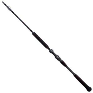 Mikado MFT Bogey 185cm bis 250G (2-teilig)