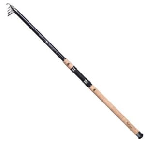 Mikado X-Plode N.G. Fishunter Tele 300cm 50-100G (5-teilig)