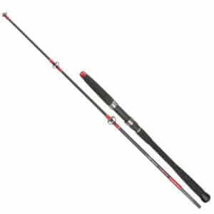 Mikado Cat Territory Troll&Spin 210 50-180G (2-teilig)