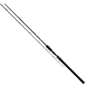 Salmo Tollmaster 240cm 40-60g 2pc