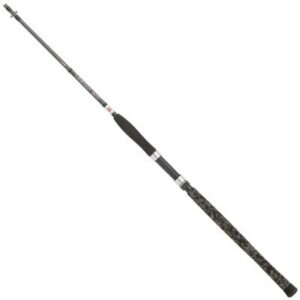 PENN Legion Cat Silver Spin 2.10m 40-160g