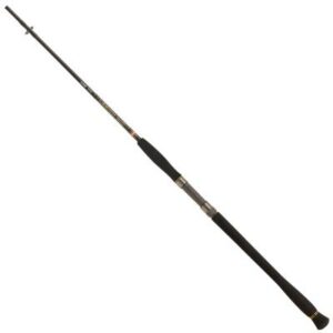 PENN Legion Cat Gold Clonk 2.10m 100-250g