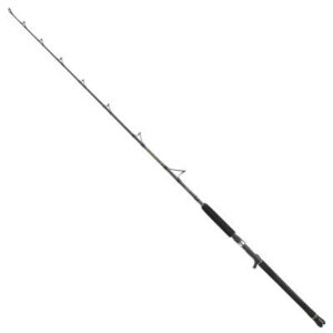 PENN Regiment Iii Jig 601 20-30Lb C