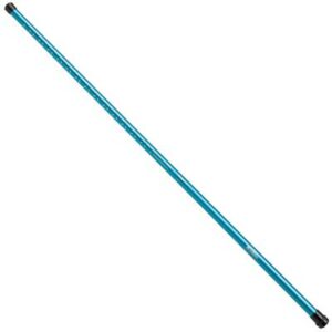 Mitchell Catch Pro Pole T-400