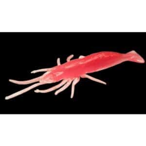DEGA Real Shrimp