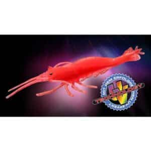 DEGA Shrimps 6 St./SB japan-red