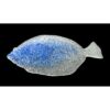 JENZI Flunder Gummifisch Farbe B 11