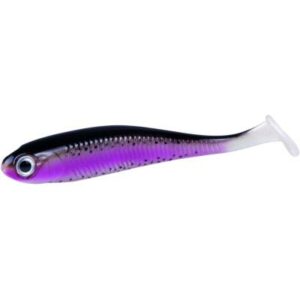 Jackson Active Shad 10 cm Real Trout