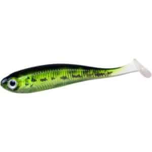 Jackson Active Shad 12