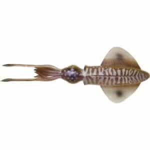 Savage Gear 3D Swim Squid 18cm 32G Cuttlefish 2Pcs