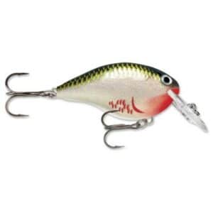 Rapala Dives-To Dt06 Bos 5cm 1