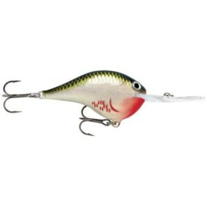 Rapala Dives-To Dt10 Bos 6cm 3m Taucht ab Bleading Olive Shiner