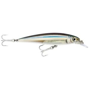 Rapala X-Rap Saltw. Sxr Anc 10cm 1