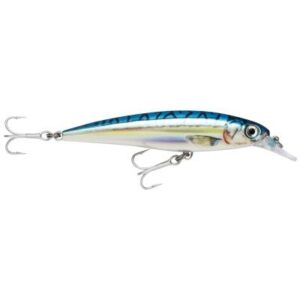 Rapala X-Rap Saltw. Sxr Bm 10cm 1