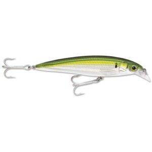 Rapala X-Rap Saltw. Sxr Pld 10cm 1