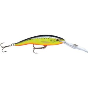 Rapala Deep Tail Dancer Hs 13cm 12m Schwimmend Holographic Silver