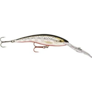 Rapala Deep Tail Dancer Sfl 13cm 12m Schwimmend Silver Flash