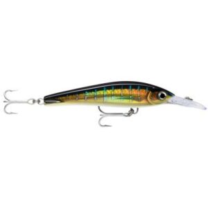 Rapala X-Rap Magnum X-Extr Hdsfu 16cm 2