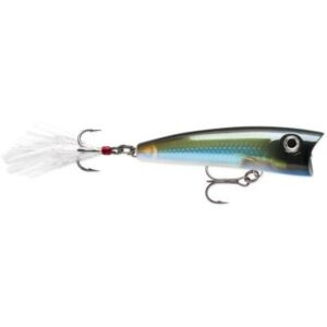 Rapala X-Rap Pop 7cm Moss Back Shiner Oberflächenköder