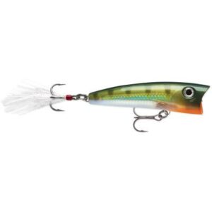 Rapala X-Rap Pop 7cm Yellow Perch Oberflächenköder