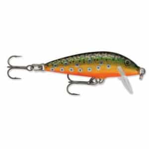 Rapala Countdown 05 Brooktrout