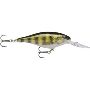 Rapala Shad Rap 07 Live Perch