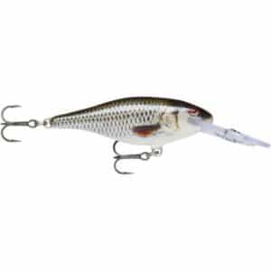 Rapala Shad Rap 07 Live Roach