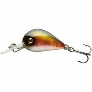 Cormoran Wobbler Set Forelle SB4