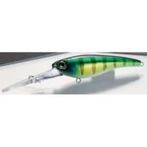 Shimano Bantam Pavlo Shad Perch 5