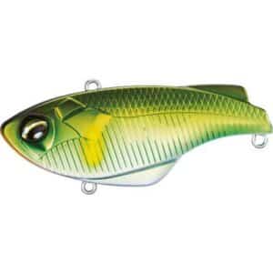 Shimano Bantam Rattlin Sur-Vibe Ayu 6