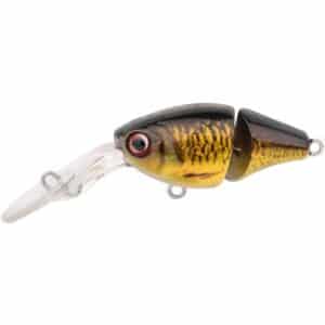 Spro Ikiru Naturals Double Crank 35 Carp 3