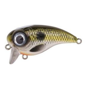 Spro Fat Iris Hardlure Shad 5cm 10G