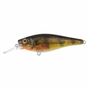 Spro Ikiru Shad Perch 7