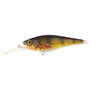 Spro Ikiru Shad Perch 7