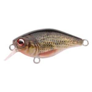 Spro Ikiru Mini Crank Roach 3.8cm F Sl Sin