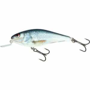 Salmo Executor Shallow Runner 5cm 5G Real Dace 0