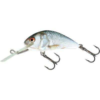 Salmo Hornet Floating 5cm 7G Real Dace 2