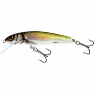 Salmo Minnow Floating 5cm 3G Holo Bleak 0