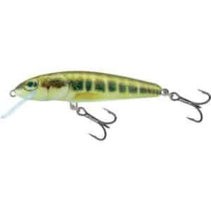 Salmo Minnow Floating 5cm 3G Minnow 0