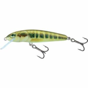 Salmo Minnow Sinking 5cm 5G Minnow 0