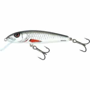 Salmo Minnow Floating 7cm 6G Dace 1/1