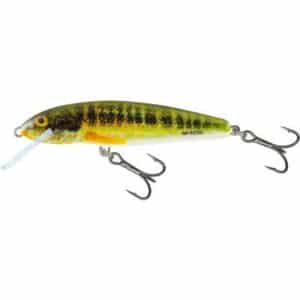 Salmo Minnow Sinking 7cm 8G Oz Holo Real Minnow 1