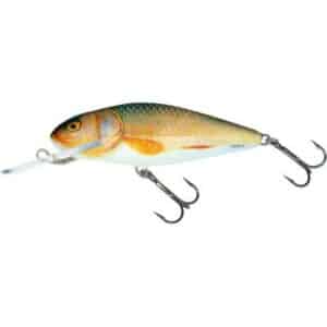 Salmo Perch Deep Runner 8cm 14G Oz Real Roach 1