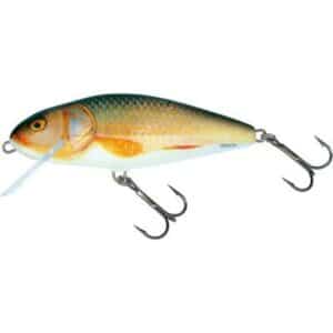 Salmo Perch Floating 12cm 36G Real Roach 2