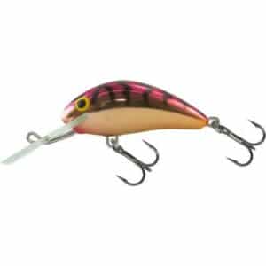 Salmo Rattlin Hornet schwimmend 3.5cm 3.1G Viking 1