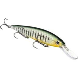 Strike King Kvd Deep 300 Jerkbait Phantom Perch 12cm 17G