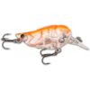 Iron Claw Apace NC36 S BC
